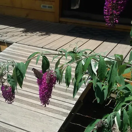 Bed and breakfast Roulotte Zelena Hora 3*