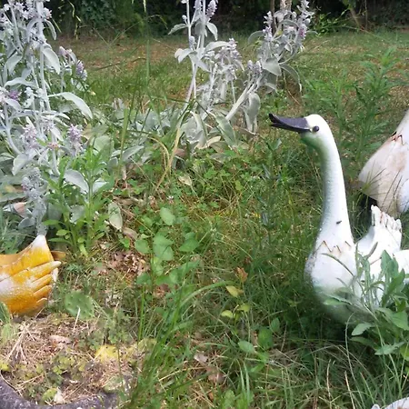 Roulotte Zelena Hora 3*