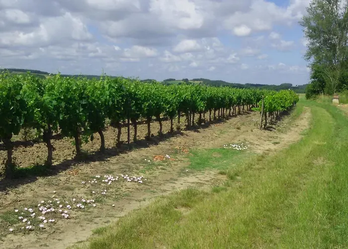 ベッド・アンド・ブレックファスト Roulotte Zelena Hora Cadalen