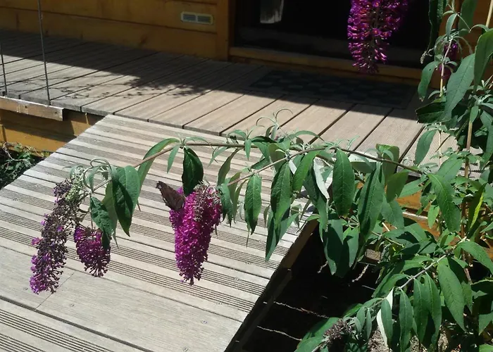 ベッド・アンド・ブレックファスト Roulotte Zelena Hora 3*