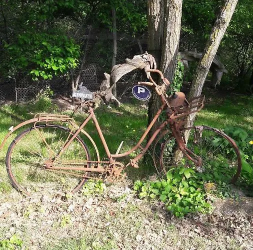 Roulotte Zelena Hora